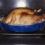 Turkey in the Oven