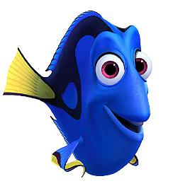 dori dori