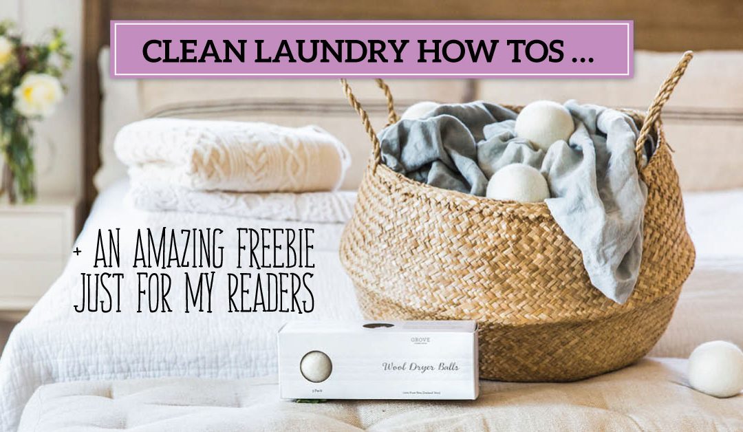 Clean Laundry How Tos … (AND an Amazing Freebie Just for My Readers)