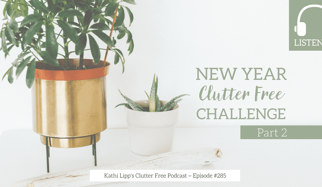 Podcast Eps: #285: New Year Clutter Free Challenge, Part 2