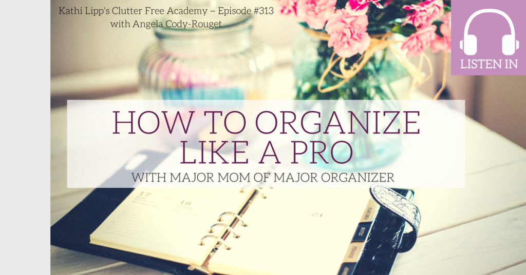 Eps. 313 How to Organize Like a Pro with Major Mom of Major Organizer