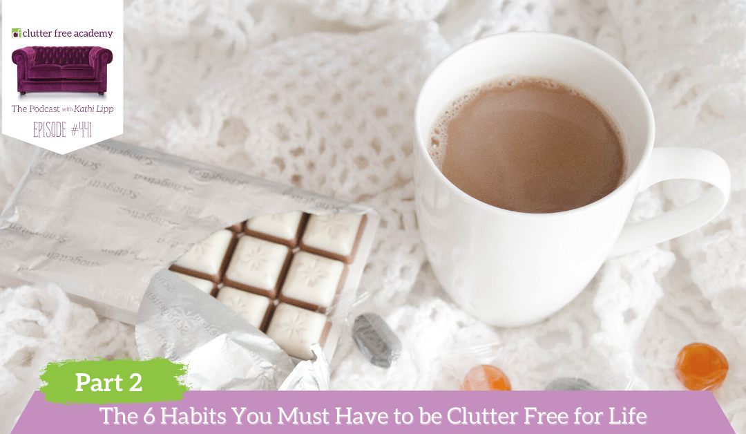 441 The 6 Habits You Must Have to be Clutter Free for Life Part 2