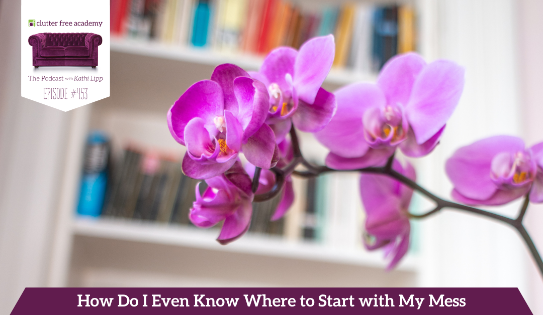 453 How Do I Even Know Where to Start with My Mess – Questions with Kathi and Kelly