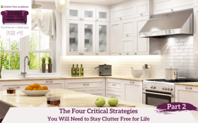 493: The Four Critical Strategies You Will Need to Stay Clutter Free for Life Part 2