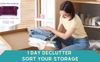 #517 1 Day Declutter- Sort Your Storage with Roger
