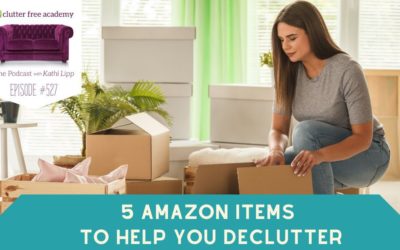 #527  5 Amazon Items to Help You Declutter