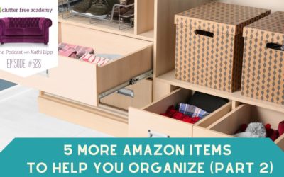 #528 5 More Amazon Items to Help You Organize Part 2