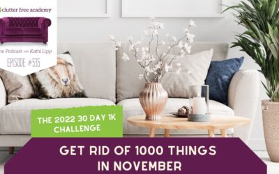 #535 The 2022 30 Day 1k Challenge: Get Rid of 1000 Things in November