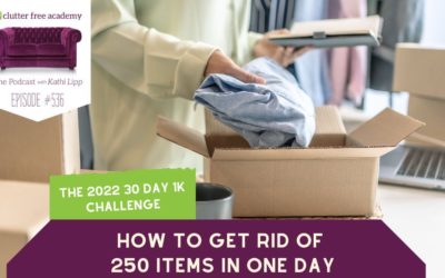 #536 How to Get Rid of 250 Items in One Day
