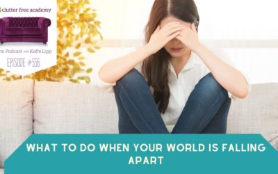 #556 What to Do When Your World is Falling Apart