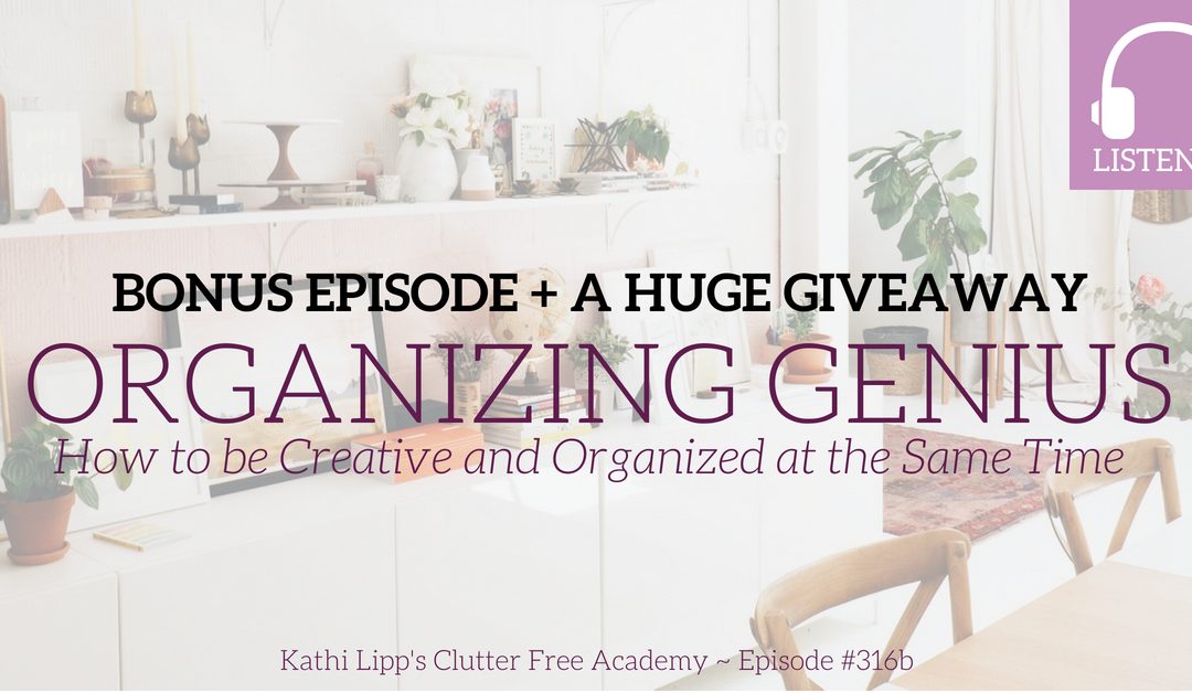 BONUS Episode #316b- Organizing Genius: How to be Creative and Organized at the Same Time